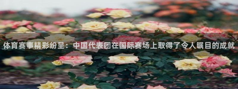 体育赛事精彩纷呈：中国代表团在国际赛场上取得了令人瞩目的成就