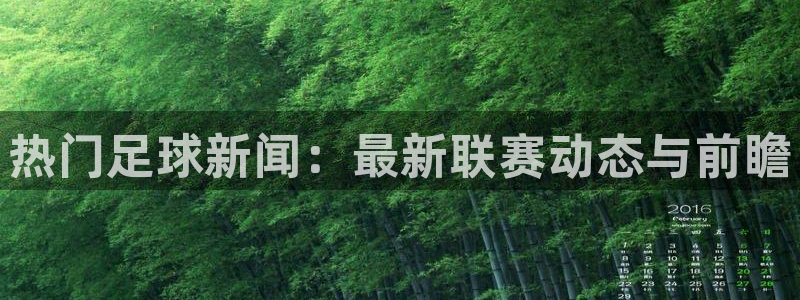 热门足球新闻：最新联赛动态与前瞻