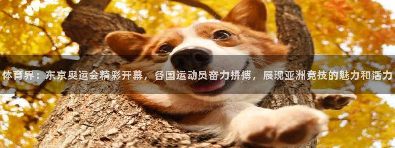 体育界：东京奥运会精彩开幕，各国运动员奋力拼搏，展现亚洲竞技的魅力和活力