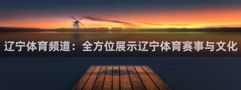 辽宁体育频道：全方位展示辽宁体育赛事与文化