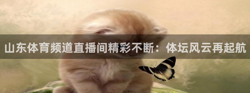 山东体育频道直播间精彩不断：体坛风云再起航