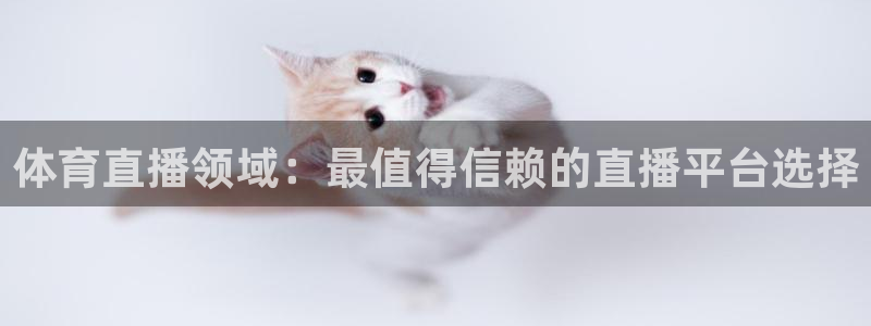 体育直播领域：最值得信赖的直播平台选择