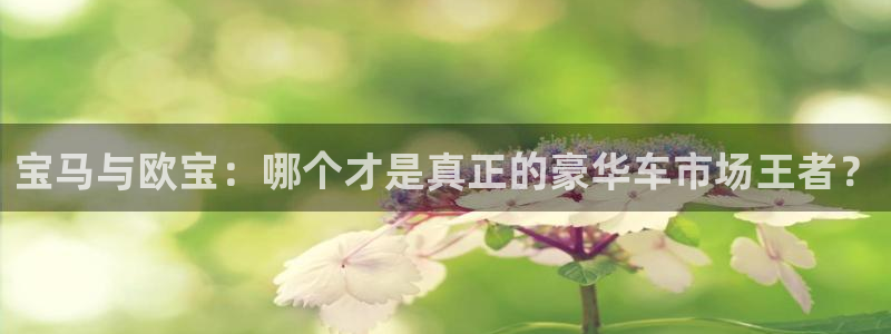 宝马与欧宝：哪个才是真正的豪华车市场王者？