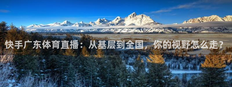快手广东体育直播：从基层到全国，你的视野怎么走？