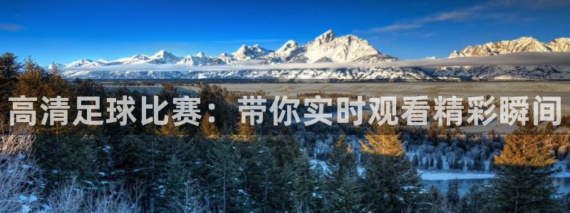 高清足球比赛：带你实时观看精彩瞬间