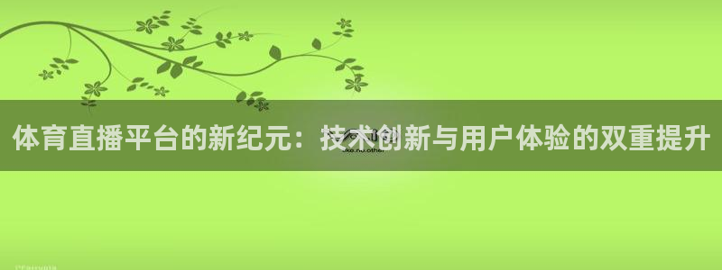 体育直播平台的新纪元：技术创新与用户体验的双重提升