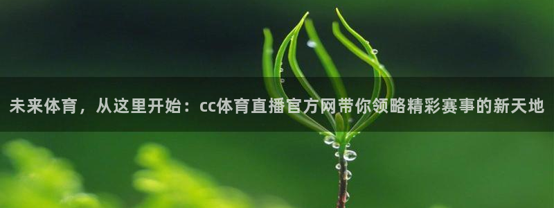 未来体育，从这里开始：cc体育直播官方网带你领略精彩赛事的新天地