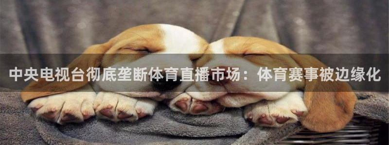 中央电视台彻底垄断体育直播市场：体育赛事被边缘化