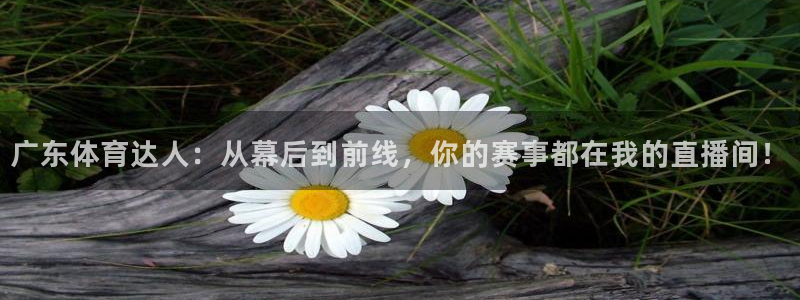 广东体育达人：从幕后到前线，你的赛事都在我的直播间！