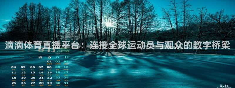 滴滴体育直播平台：连接全球运动员与观众的数字桥梁