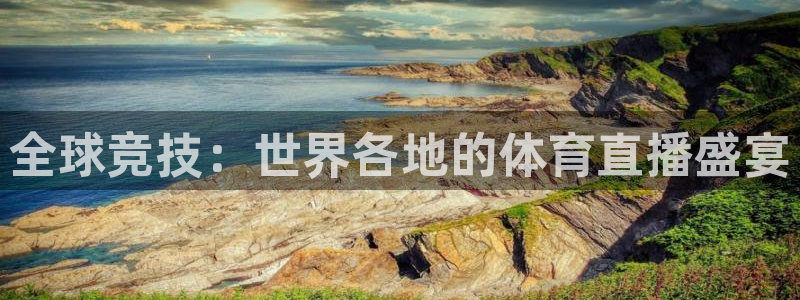 全球竞技：世界各地的体育直播盛宴