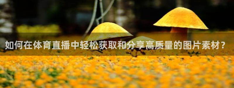 如何在体育直播中轻松获取和分享高质量的图片素材？