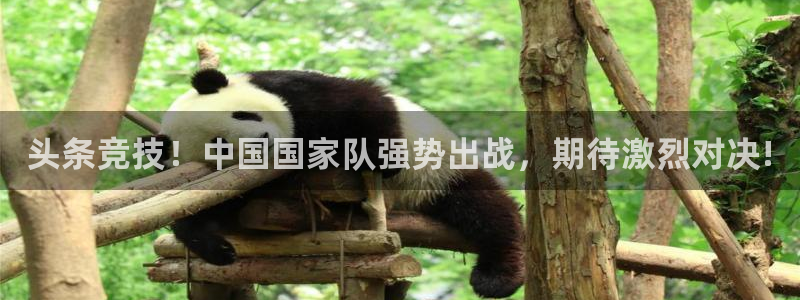 头条竞技！中国国家队强势出战，期待激烈对决!