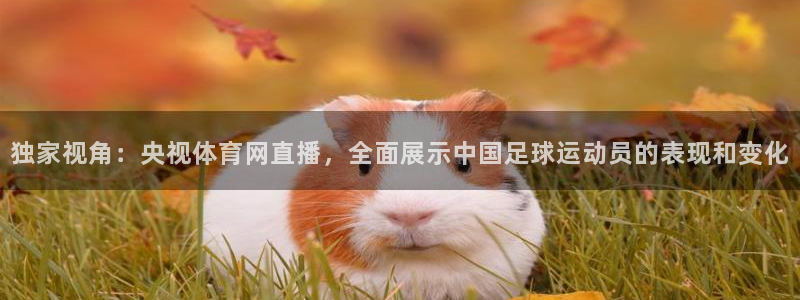 独家视角：央视体育网直播，全面展示中国足球运动员的表现和变化