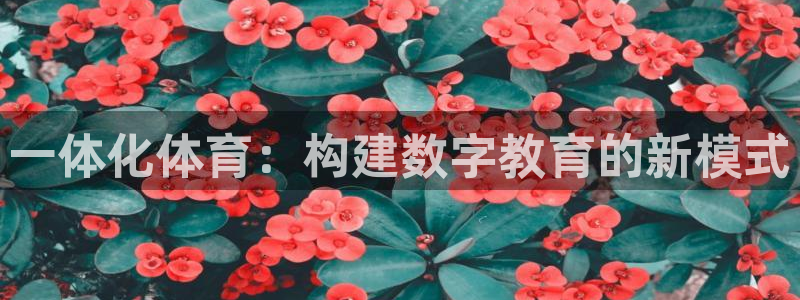 一体化体育：构建数字教育的新模式