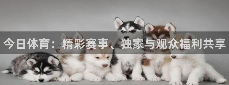 今日体育：精彩赛事、独家与观众福利共享