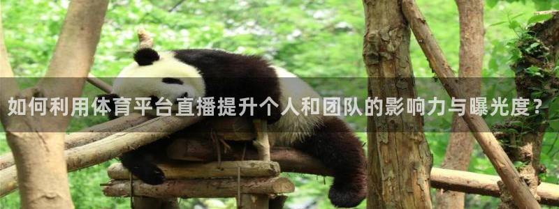 如何利用体育平台直播提升个人和团队的影响力与曝光度？
