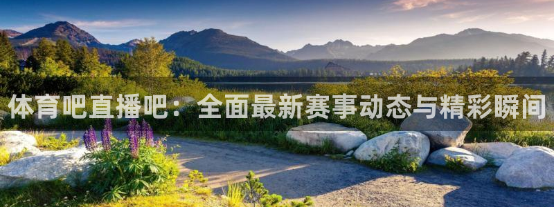 体育吧直播吧：全面最新赛事动态与精彩瞬间