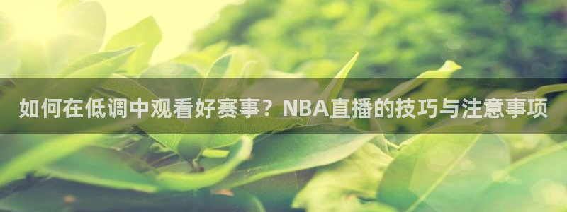如何在低调中观看好赛事？NBA直播的技巧与注意事项