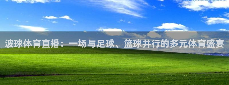 波球体育直播：一场与足球、篮球并行的多元体育盛宴