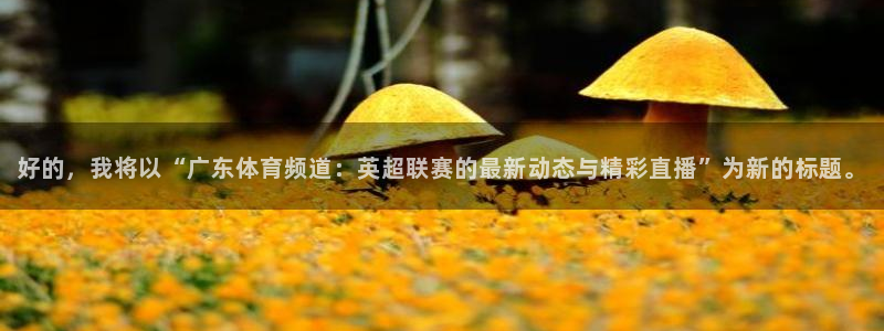好的，我将以“广东体育频道：英超联赛的最新动态与精彩直播”为新的标题。