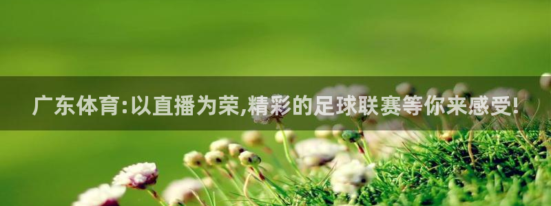 广东体育:以直播为荣,精彩的足球联赛等你来感受!