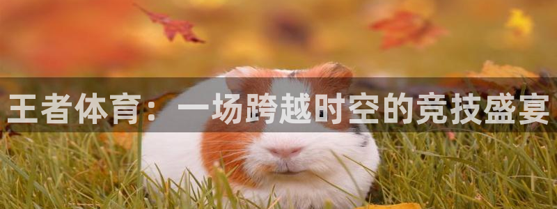 王者体育：一场跨越时空的竞技盛宴