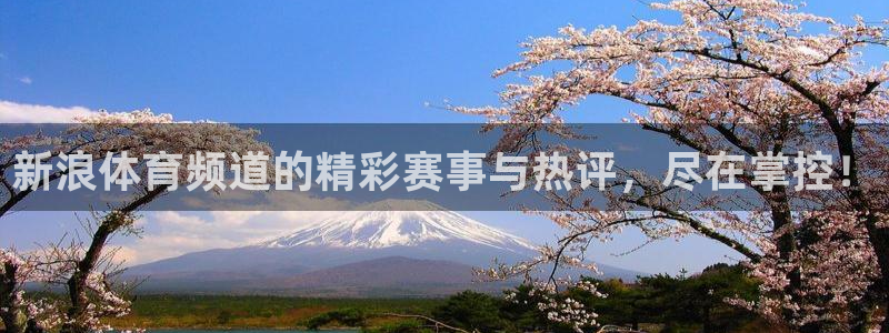新浪体育频道的精彩赛事与热评，尽在掌控！