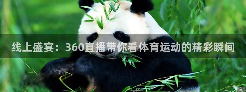线上盛宴：360直播带你看体育运动的精彩瞬间