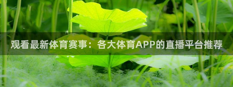 观看最新体育赛事：各大体育APP的直播平台推荐