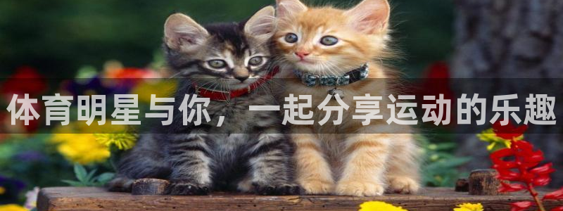 体育明星与你，一起分享运动的乐趣