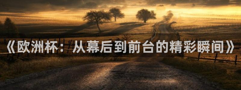 《欧洲杯：从幕后到前台的精彩瞬间》