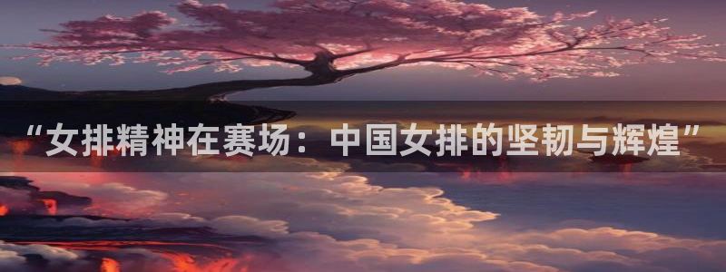 “女排精神在赛场：中国女排的坚韧与辉煌”