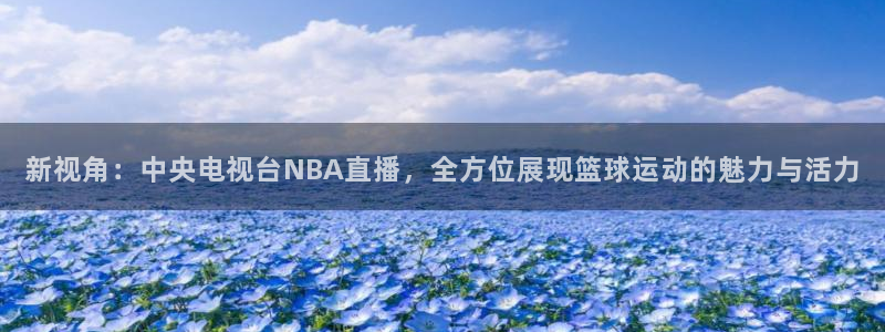 新视角：中央电视台NBA直播，全方位展现篮球运动的魅力与活力