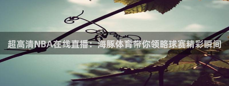 超高清NBA在线直播：海豚体育带你领略球赛精彩瞬间