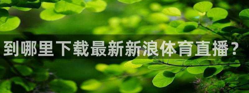 到哪里下载最新新浪体育直播？