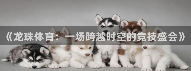 《龙珠体育：一场跨越时空的竞技盛会》