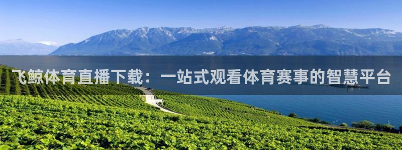 飞鲸体育直播下载：一站式观看体育赛事的智慧平台