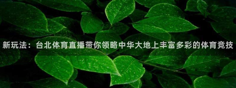 新玩法：台北体育直播带你领略中华大地上丰富多彩的体育竞技