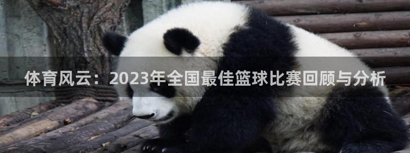 体育风云：2023年全国最佳篮球比赛回顾与分析