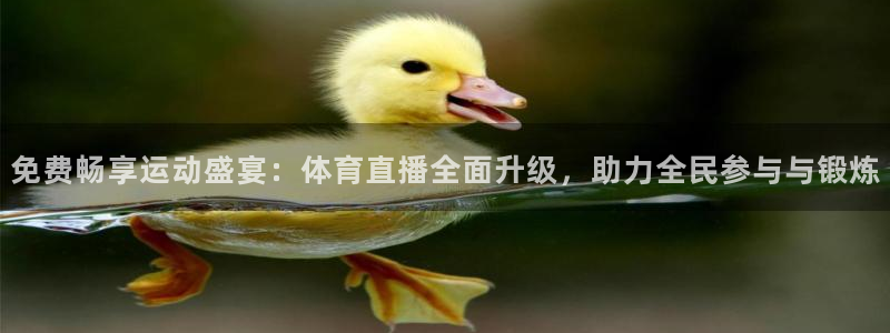 免费畅享运动盛宴：体育直播全面升级，助力全民参与与锻炼
