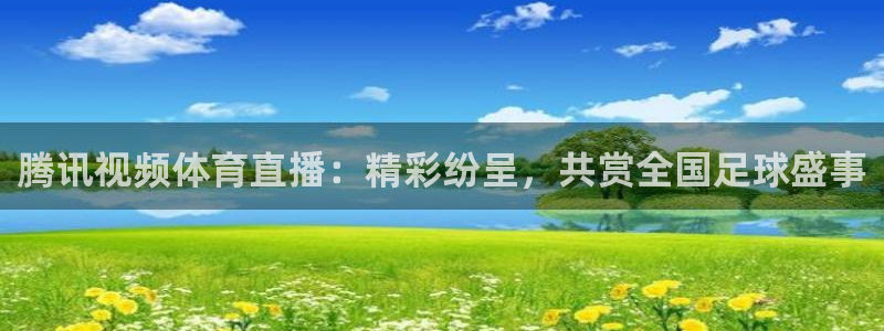 腾讯视频体育直播：精彩纷呈，共赏全国足球盛事