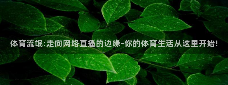 体育流氓:走向网络直播的边缘-你的体育生活从这里开始!