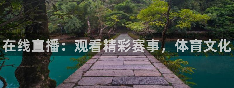 在线直播：观看精彩赛事，体育文化