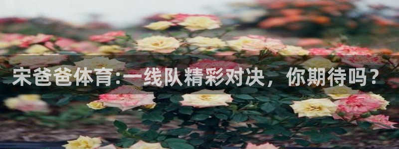 宋爸爸体育:一线队精彩对决，你期待吗？