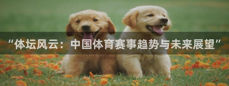 “体坛风云：中国体育赛事趋势与未来展望”