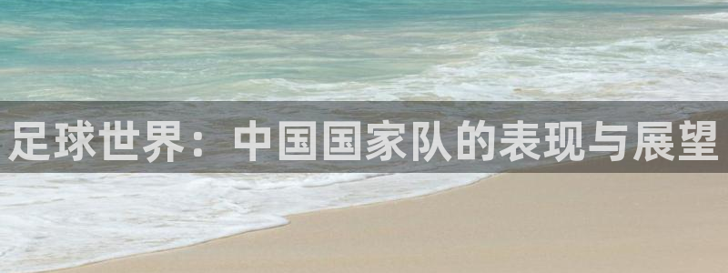 足球世界：中国国家队的表现与展望