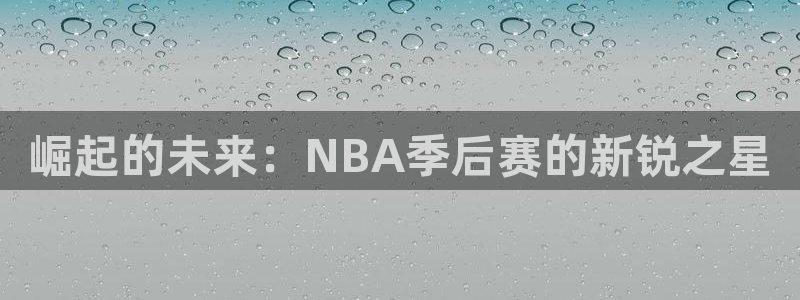 崛起的未来：NBA季后赛的新锐之星