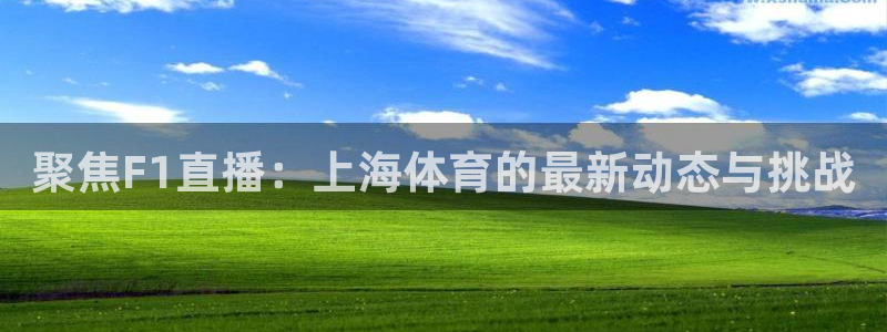 聚焦F1直播：上海体育的最新动态与挑战