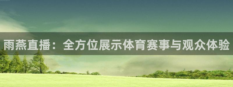 雨燕直播：全方位展示体育赛事与观众体验
